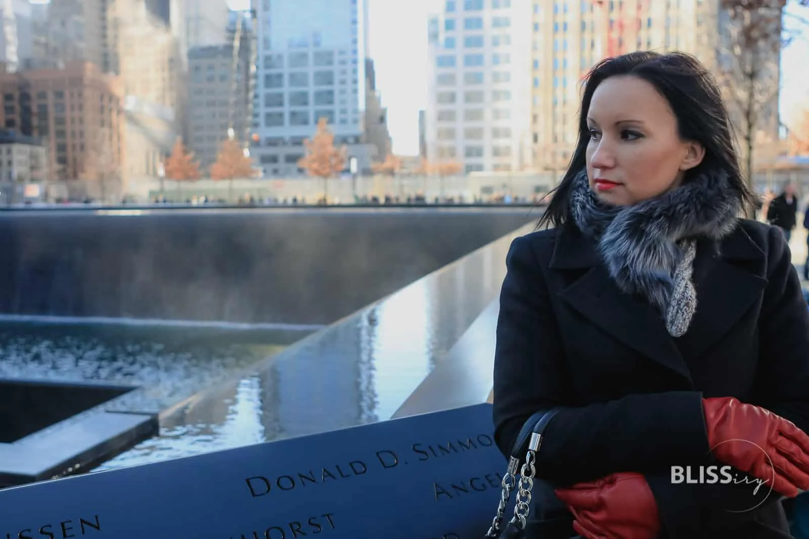 Vanessa Pur - Sehenswürdigkeiten New York City - 911 Memorial Gedenkstätte World Trade Center 9/11 Memorial New York - Twin Towers - by day WTC