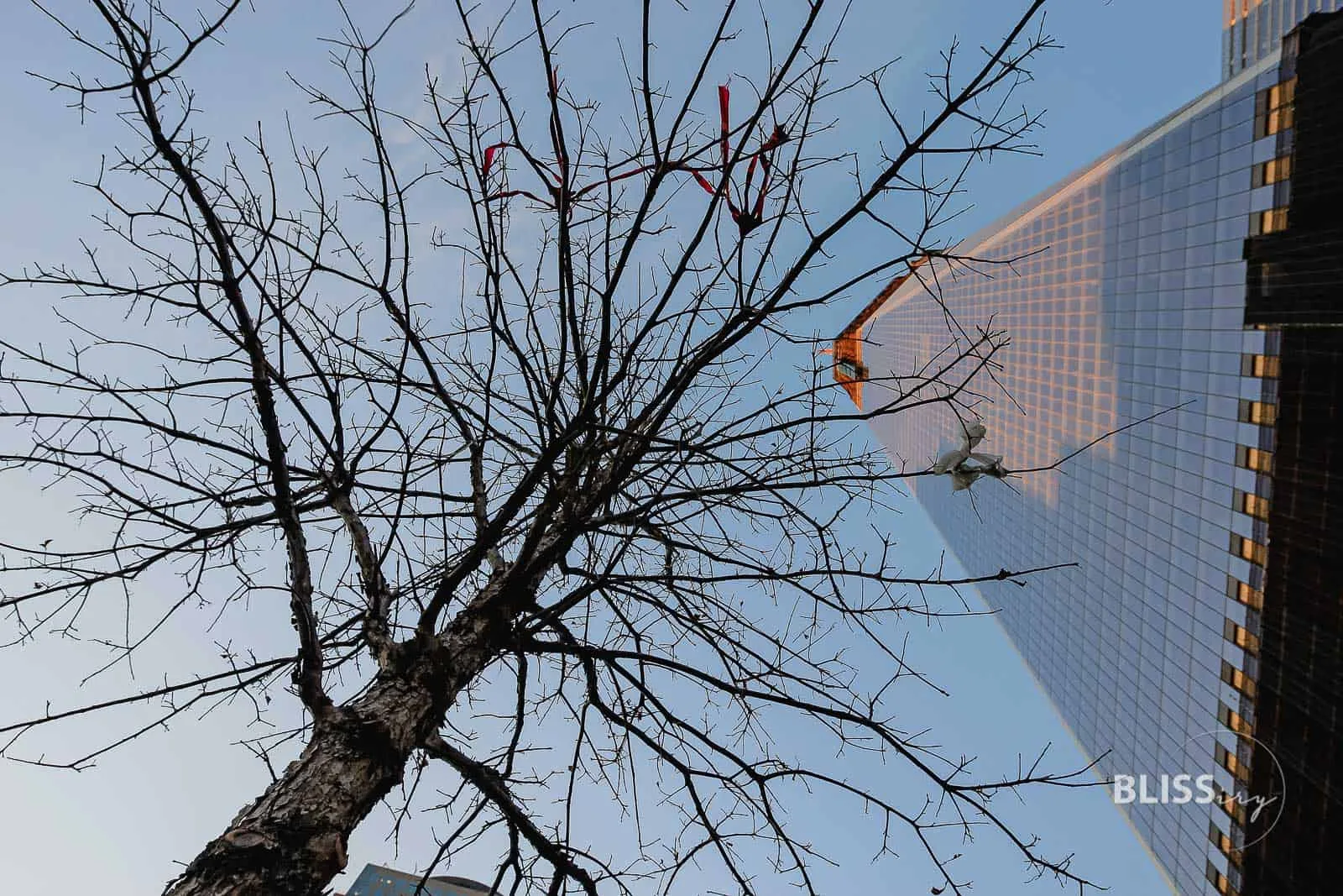 Sehenswürdigkeiten New York City - 911 Memorial Gedenkstätte World Trade Center 9/11 Memorial New York - Twin Towers - by day WTC