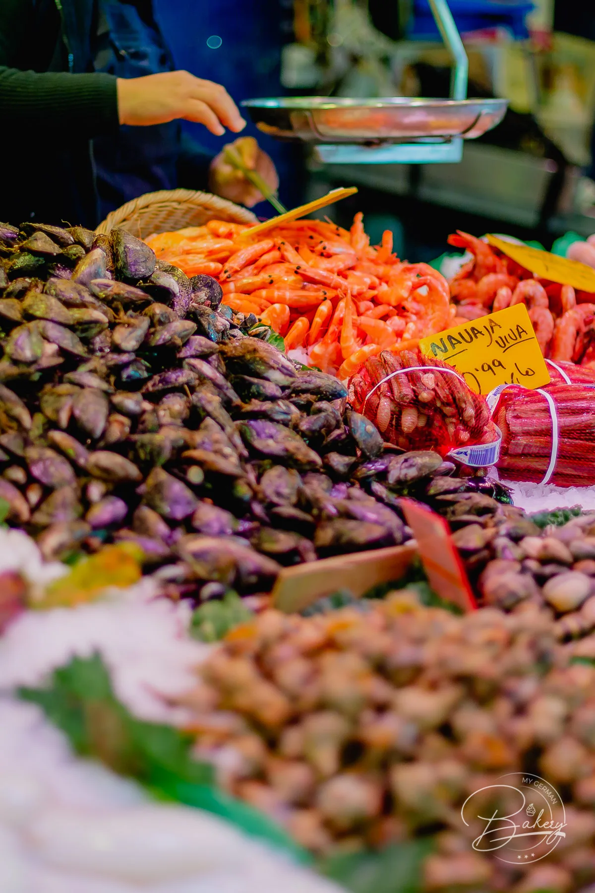 Mercado de la Boqueria - Barcelona Markt auf La Rambla - Der Mercado de la Boqueria ist ein Obstmarkt, Gemüsemarkt, Markt für Fisch und Fleisch in Barcelona. Markthalle Las Ramblas Sehenswürdigkeit - Obst- und Gemüsemarkt in Barcelona - Mercat de Boqueria
