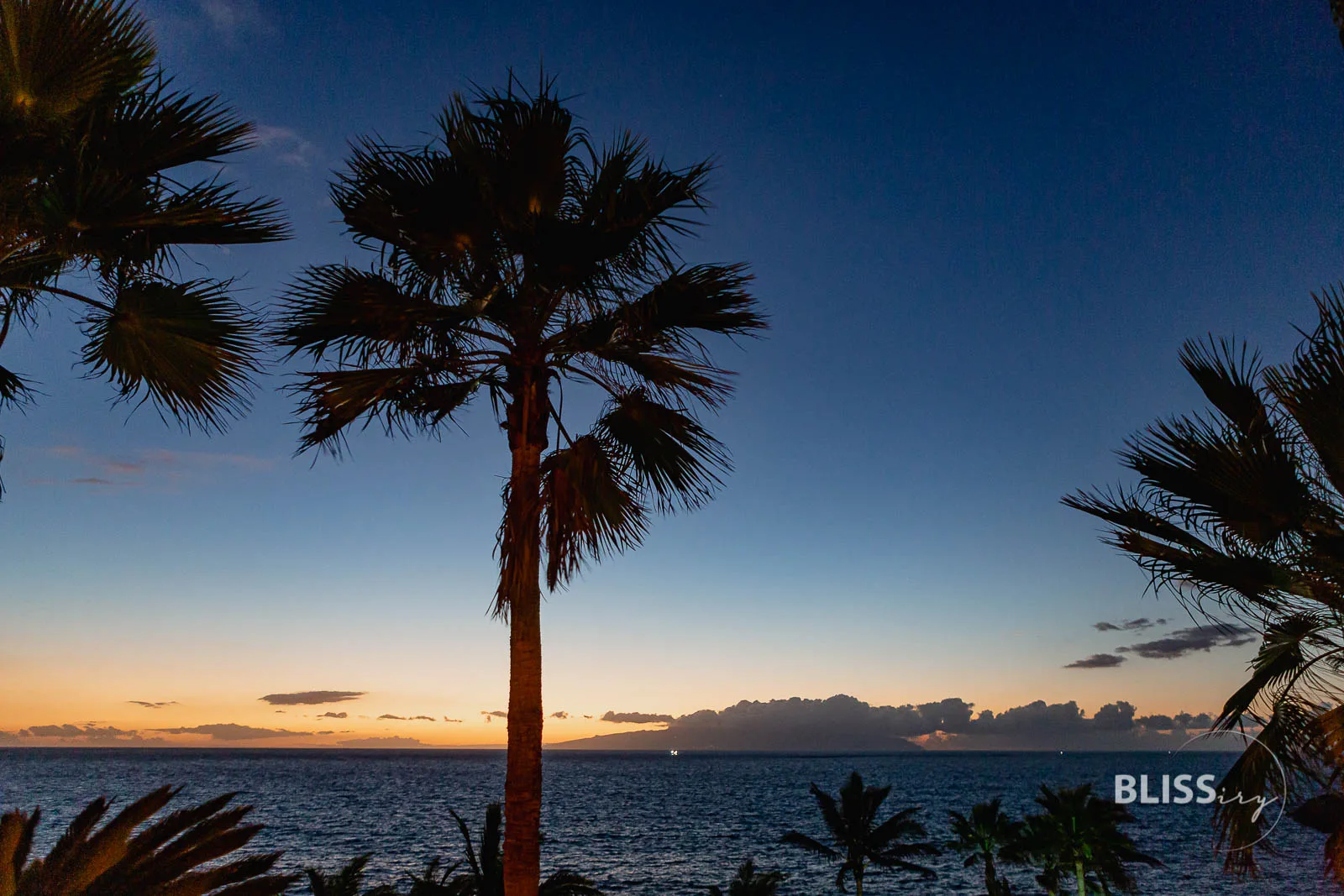 Puravida Resort Hotel Jardin Tropical Teneriffa - Erfahrungen und Bewertung des Hotels in Spanien als Urlaubshotel zum Entspannen