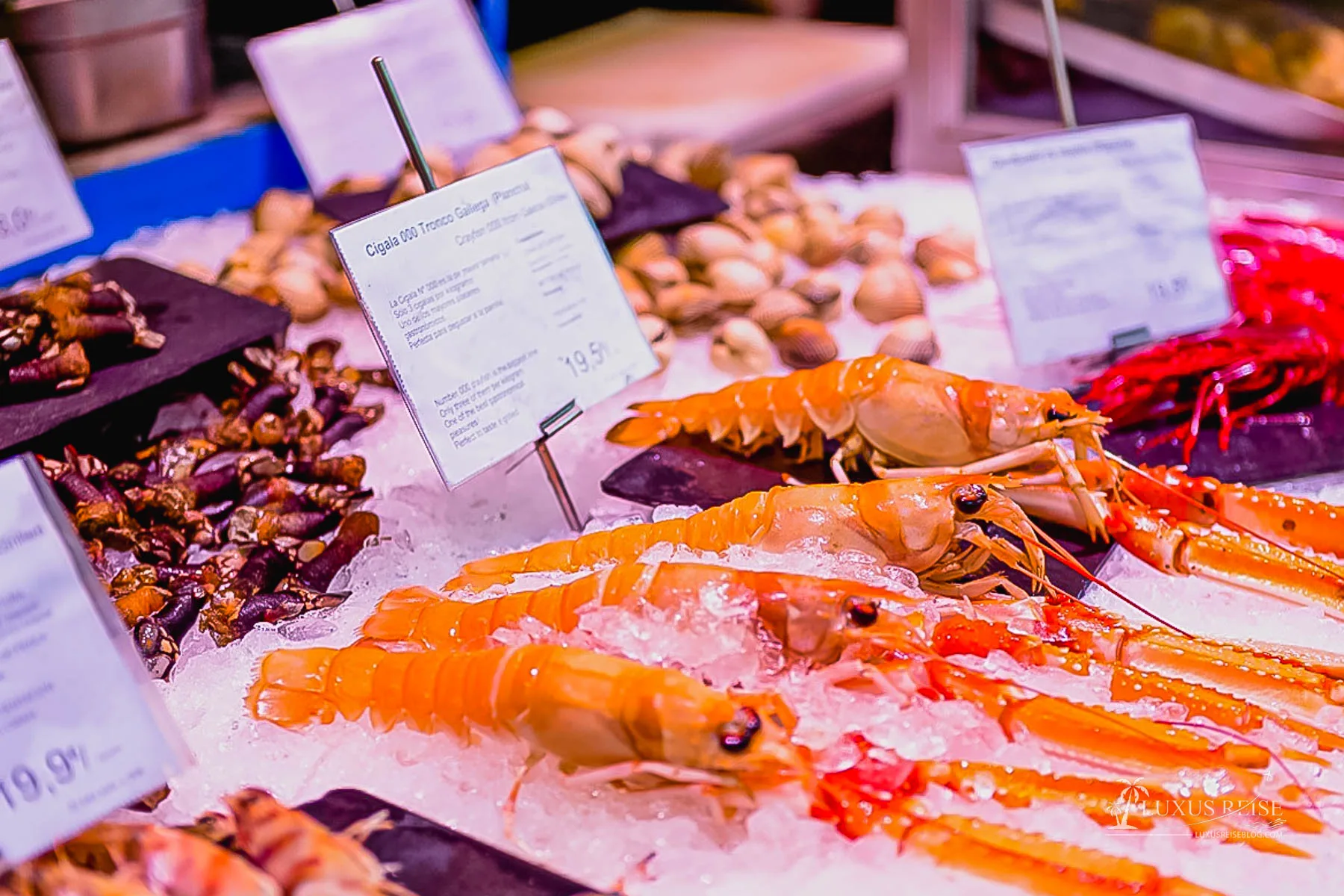 Mercado de San Miguel - Madrid, Spanien - Tapas, Bars und Entertainment, Markt in Madrid