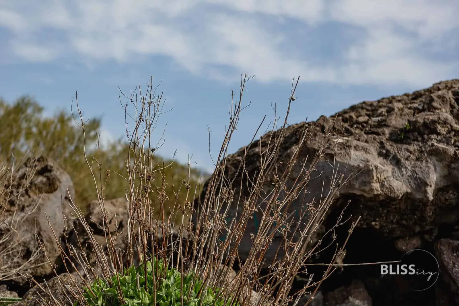 Reisetipps Vulkan Ätna auf Sizilien - Sehenswürdigkeit mit Kraterrand und Unimog Tour am Etna