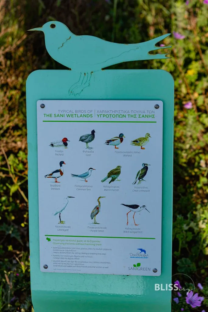 Wetlands und Birdwatching - Eco-Tourismus in Griechenland - Sani - Griechenland - Wetlands Naturpark