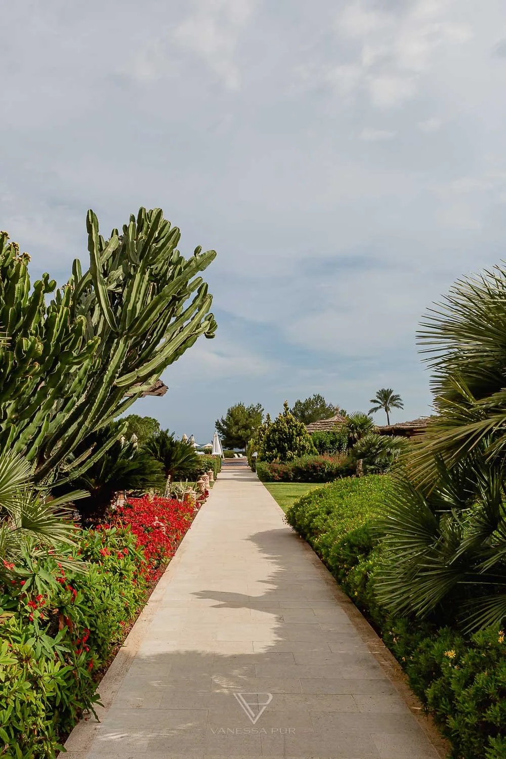 Akupunktur im St. Regis Mardavall Mallorca Luxus Wellness - Wellness auf Mallorca - traditionelle Chinesische Medizin - Erholung im St. Regis Mardavall