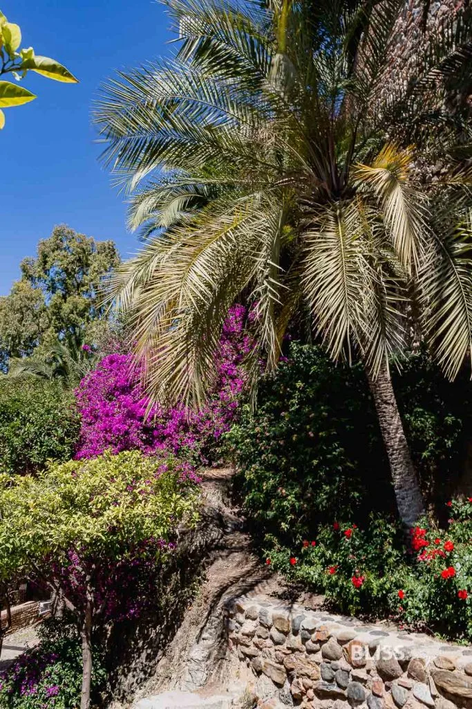 Malaga Sehenswürdigkeiten Top 10 mit Stadtbesichtigung in Andalusien. Pablo Picasso Museum, Alcazaba Festung, Kathedrale von Malaga