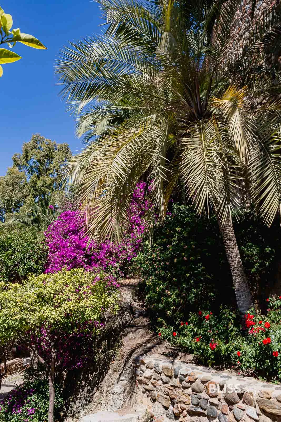 Malaga Sehenswürdigkeiten Top 10 mit Stadtbesichtigung in Andalusien. Pablo Picasso Museum, Alcazaba Festung, Kathedrale von Malaga