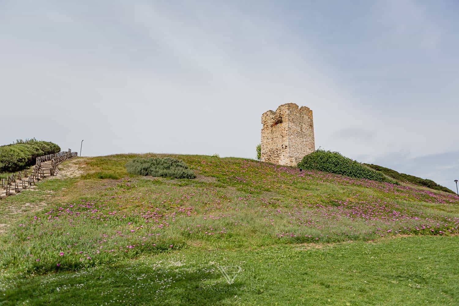 Hotel SANI Resort Griechenland - Hoteleindruck & Erfahrung - Luxushotel SANI Resort Griechenland - Hotelbewertung und Erfahrung auf dem griechischen Festland - 800 Zimmer, 17 Restaurants, 1500m Strand,