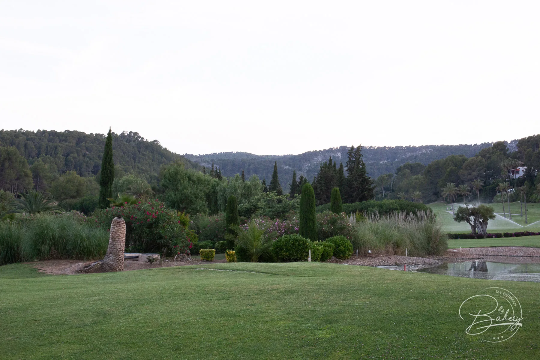Restaurant La Bodega del Green - Tapas Restaurant auf Mallorca Palma am Golfplatz und Pool - "La Bodega del Green" auf Mallorca mit direkter Anbindung an den ältesten Golfplatz die perfekte Dinner-Location für ein schönes Abendessen mit Kroketten, Croquetas im Golfhotel Arabella Sheraton