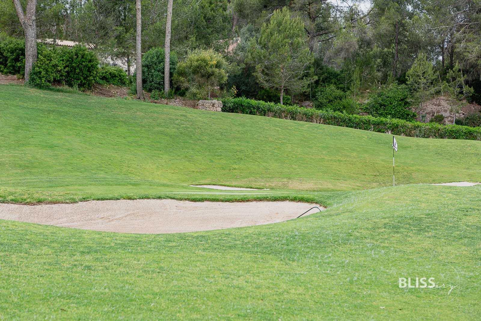 Golfen auf Mallorca - Son Muntaner Golfplatz - Golfstunden bei Palma de Mallorca Toni Planells