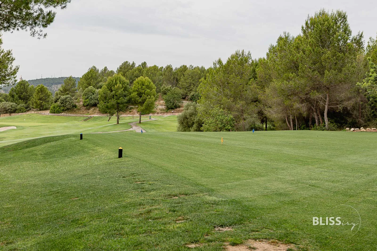 Golfen auf Mallorca - Son Muntaner Golfplatz - Golfstunden bei Palma de Mallorca Toni Planells