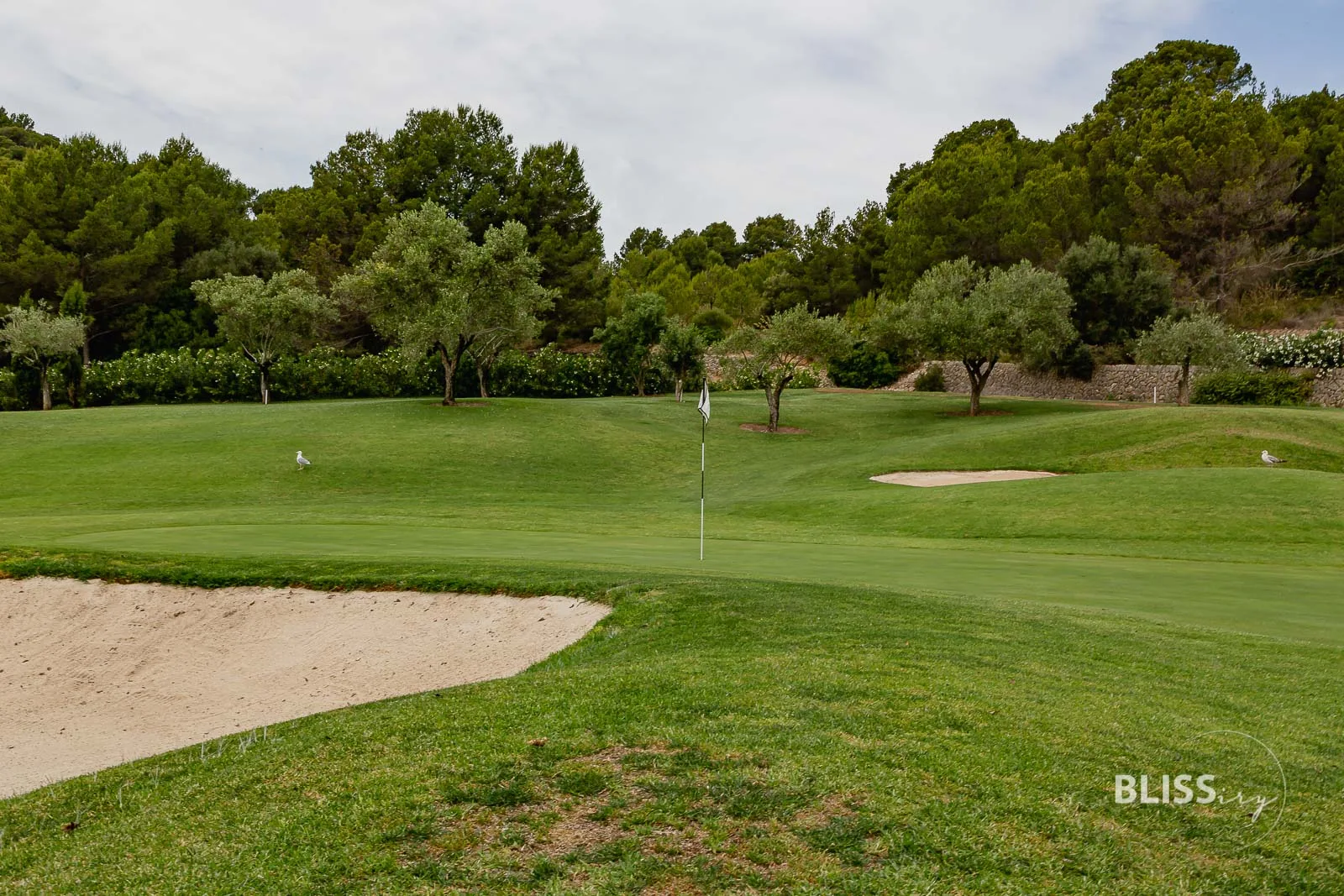 Golfen auf Mallorca - Son Muntaner Golfplatz - Golfstunden bei Palma de Mallorca Toni Planells