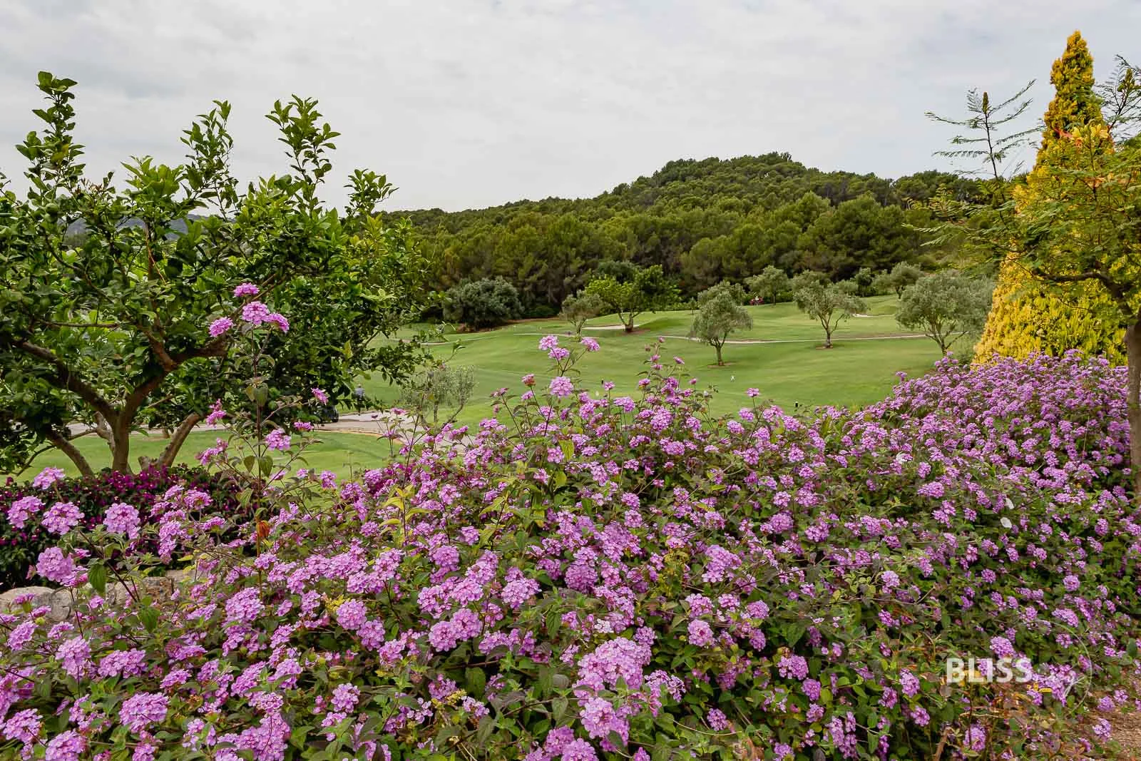 Golfen auf Mallorca - Son Muntaner Golfplatz - Golfstunden bei Palma de Mallorca Toni Planells