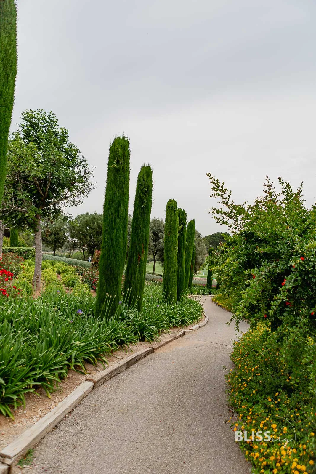 Golfen auf Mallorca - Son Muntaner Golfplatz - Golfstunden bei Palma de Mallorca Toni Planells