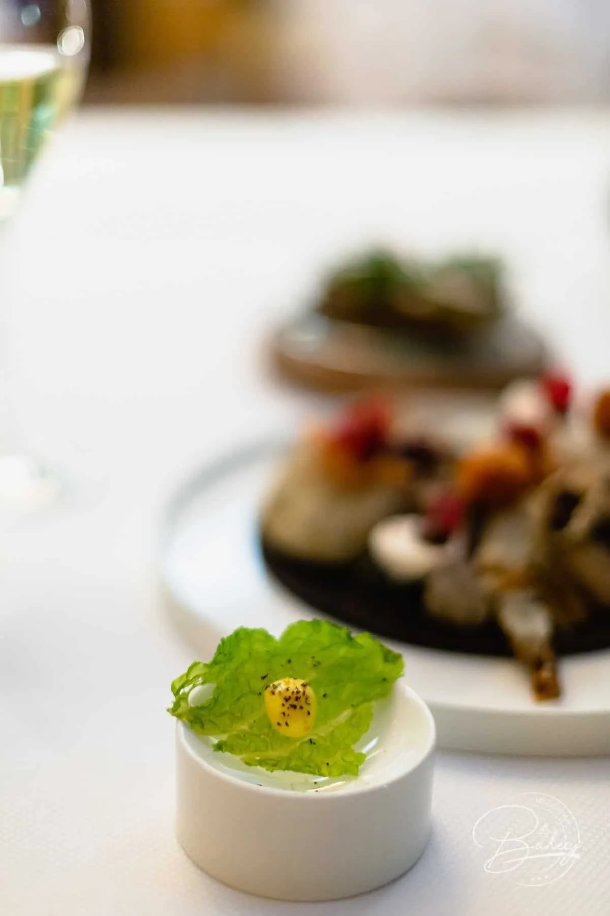 Kai3 Restaurant auf Sylt- 1-Stern Guide Michelin - vegetarische Sterne-Gastronomie - Vegetarisches Fine Dining - KAI3 - Gourmet-Sterne-Gastronomie auf Sylt - Jens RIttmeyer, Meister der Saucen bietet im Gourmet Restaurant des Budersand-Hotel Hörnum Sylt