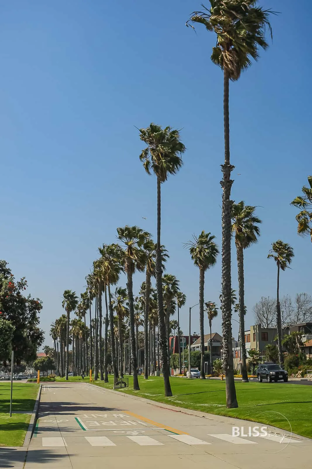 Los Angeles - Santa Monica Pier - Ferris Wheel - Riesenrad und Steg - Sehenswürdigkeiten Los Angeles - Scenic Spots - Baywatch