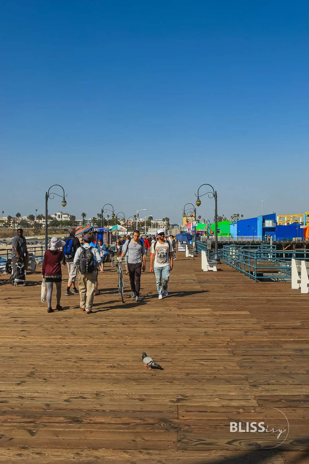 Los Angeles - Santa Monica Pier - Ferris Wheel - Riesenrad und Steg - Sehenswürdigkeiten Los Angeles - Scenic Spots - Baywatch