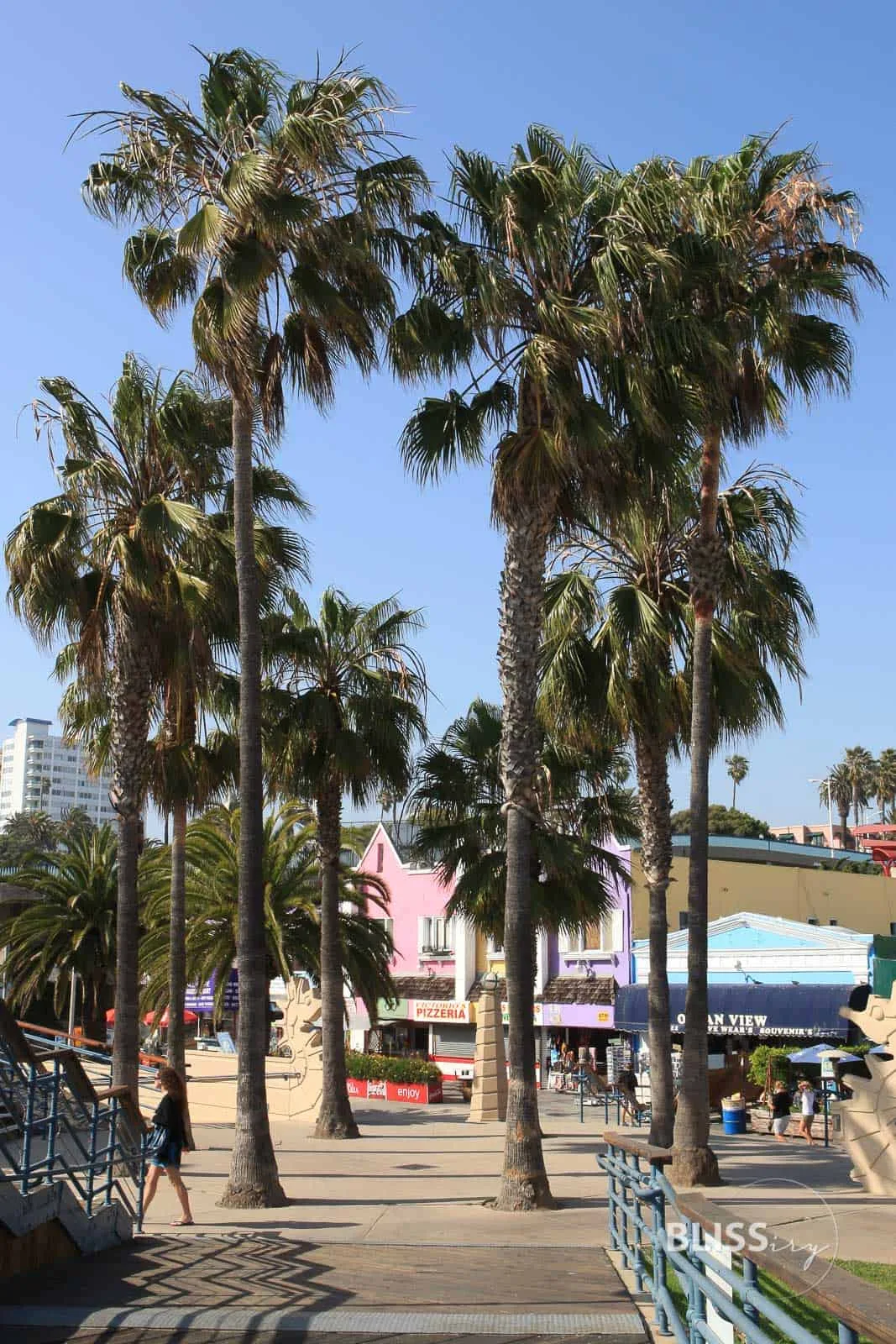 Los Angeles - Santa Monica Pier - Ferris Wheel - Riesenrad und Steg - Sehenswürdigkeiten Los Angeles - Scenic Spots - Baywatch