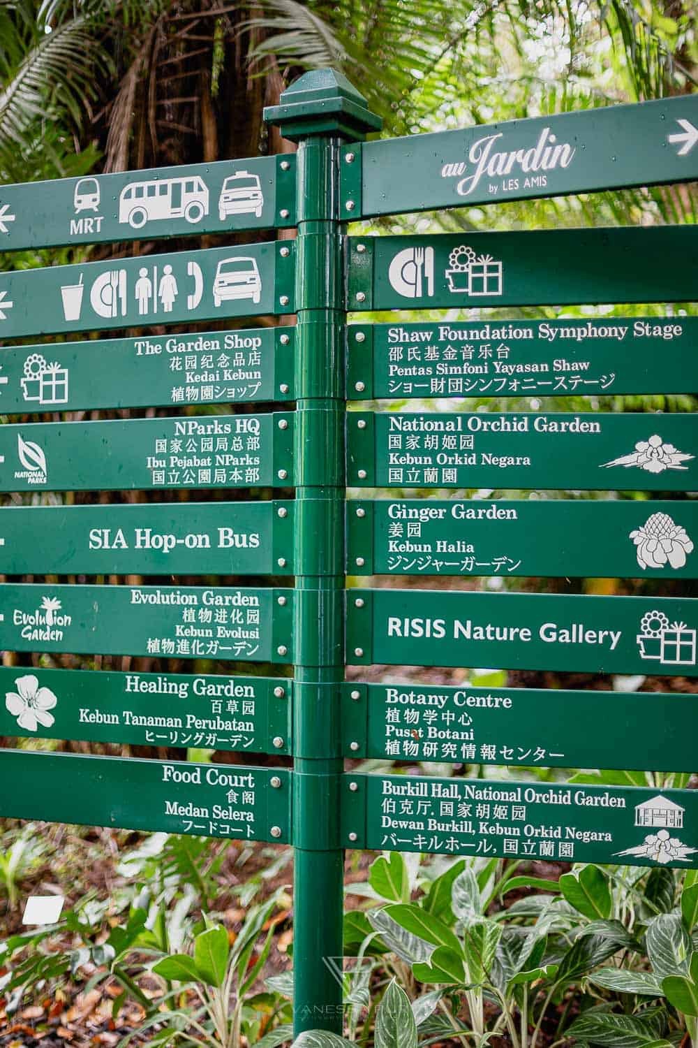 Singapur Sehenswürdigkeiten Top 10 Sehenswürdigkeiten Singapur Botanischer Garten und Orchideen Garten als Park in der Natur. Orchid Garden, Botanic Garden zur Erholung