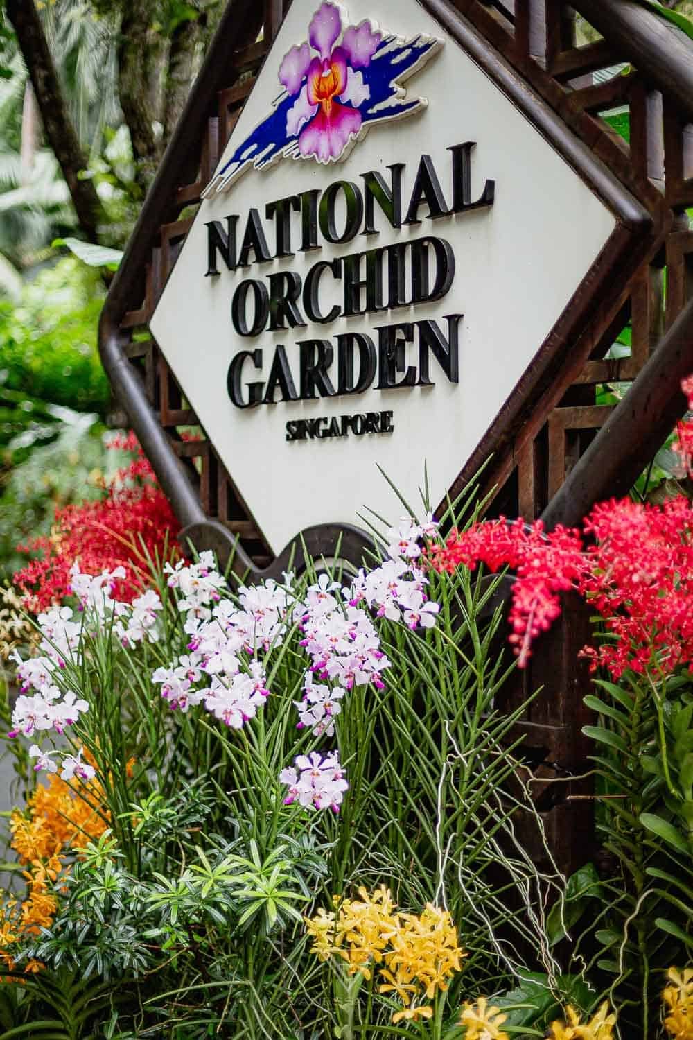 Singapur Sehenswürdigkeiten Top 10 Sehenswürdigkeiten Singapur Botanischer Garten und Orchideen Garten als Park in der Natur. Orchid Garden, Botanic Garden zur Erholung