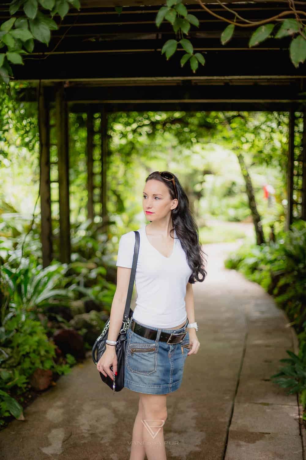 Singapur Sehenswürdigkeiten Top 10 Sehenswürdigkeiten Singapur Botanischer Garten und Orchideen Garten als Park in der Natur. Orchid Garden, Botanic Garden zur Erholung