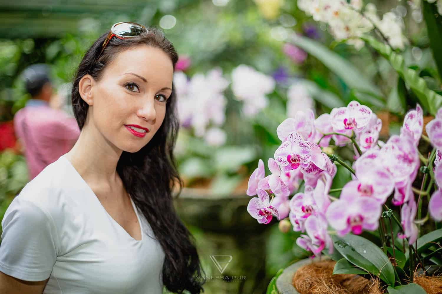 Singapur Sehenswürdigkeiten Top 10 Sehenswürdigkeiten Singapur Botanischer Garten und Orchideen Garten als Park in der Natur. Orchid Garden, Botanic Garden zur Erholung