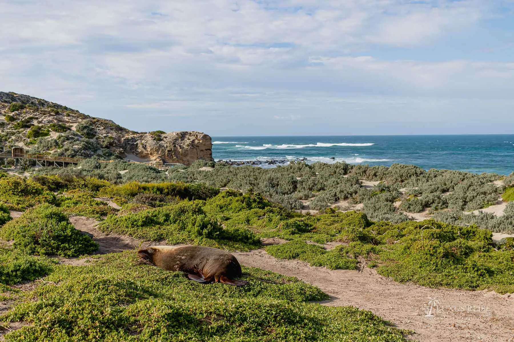 Kangaroo Island Australien - Scenic Spots - Sehenswürdigkeiten Adelaide Reise - Luxusreiseblog