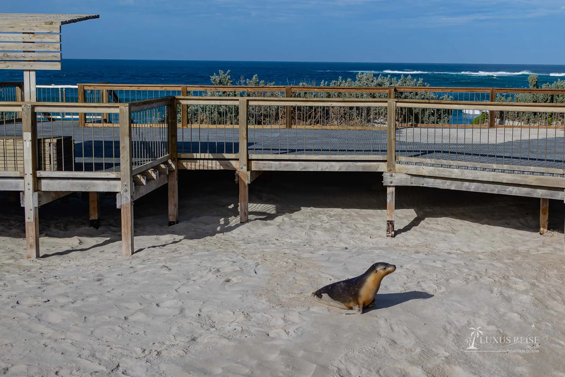 Kangaroo Island Australien - Scenic Spots - Sehenswürdigkeiten Adelaide Reise - Luxusreiseblog