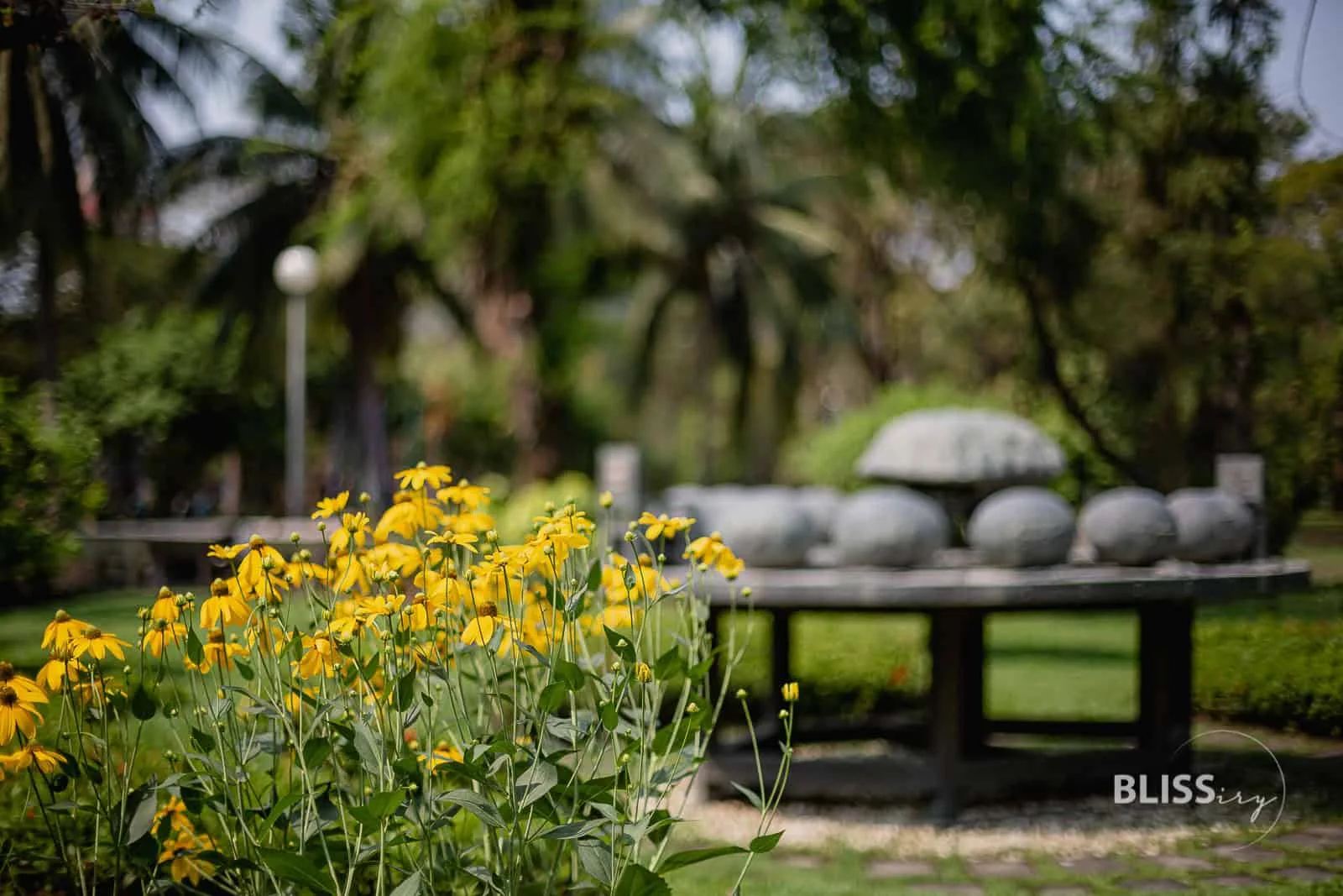 Sehenswürdigkeiten Bangkok - Lumpini Park in Thailand - Lumphini Park mit See zur Erholung und Sport oder Fitness