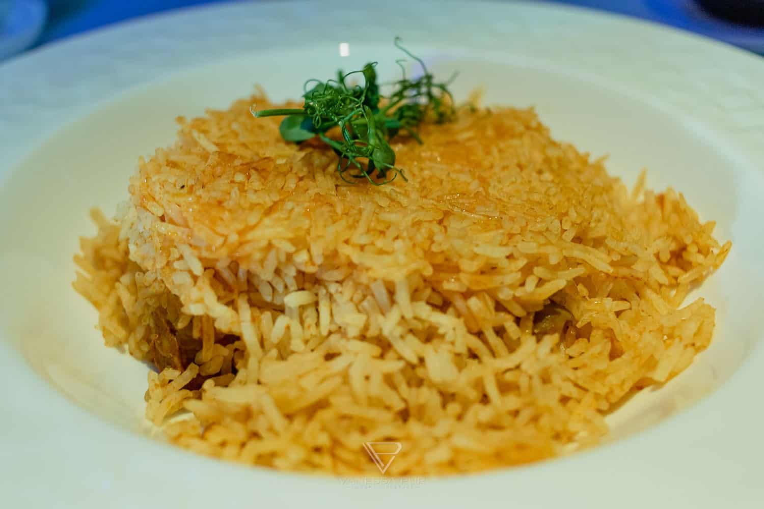 Qatar Airways Qsuite - Luxus Suite QR060 München-Doha - Flugerlebnis in der Qatar Airways Qsuite als Luxus Suite auf der Flugstrecke QR060 von München nach Doha. Erfahrung, Sitze, Beinfreiheit, Menue Qatar Airways QR060 München Doha - Qsuites - Erfahrung und Eindruecke - Business Class Erfahrung Qatar Airways - Ankunft Doha Immigration Einwanderung