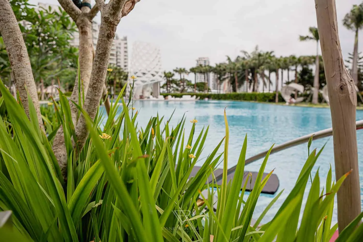 Das W Hotel Sentosa Cove in Singapur Hotel Sentosa Island. Gut erreichbar von der Innenstadt liegt das Luxushotel mit großem Pool & Spa, Bar,