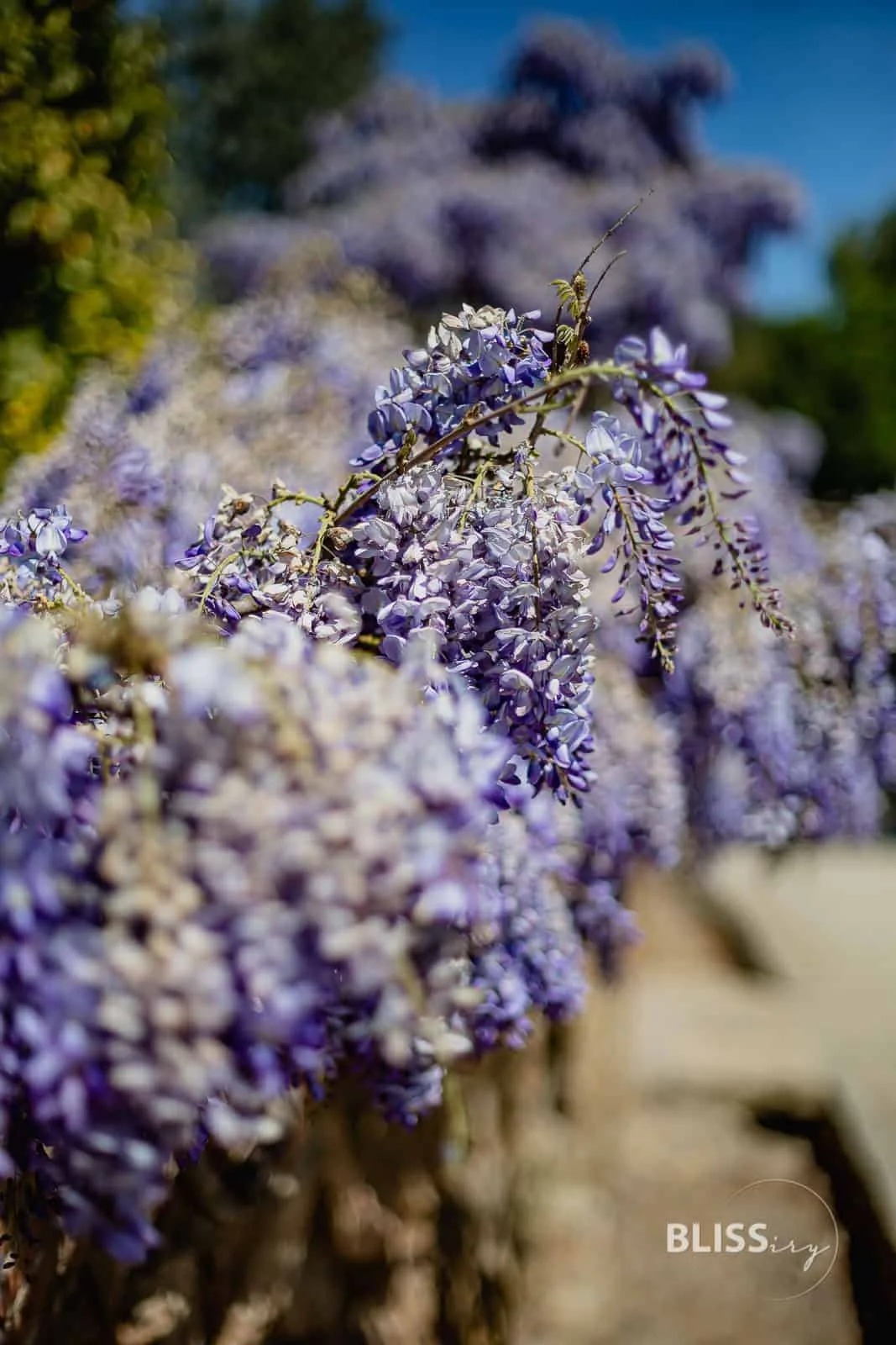 Gaudi Park in Barcelona - Park Güell - Sehenswürdigkeiten Barcelona - Gaudi Park Barcelona - Parc Guell - Sehenswürdigkeiten und Reisetipps - Eindrücke und Aussicht