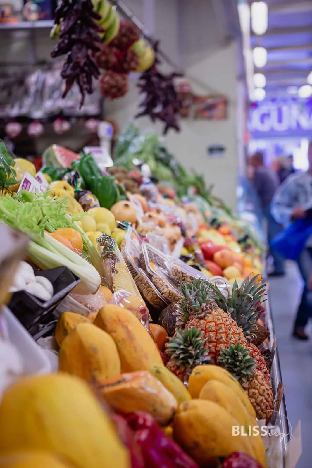 Sehenswürdigkeiten Teneriffa Inselrundfahrt - La Laguna, Weingut, Teide Vulkan - 24 Stunden auf den Kanaren