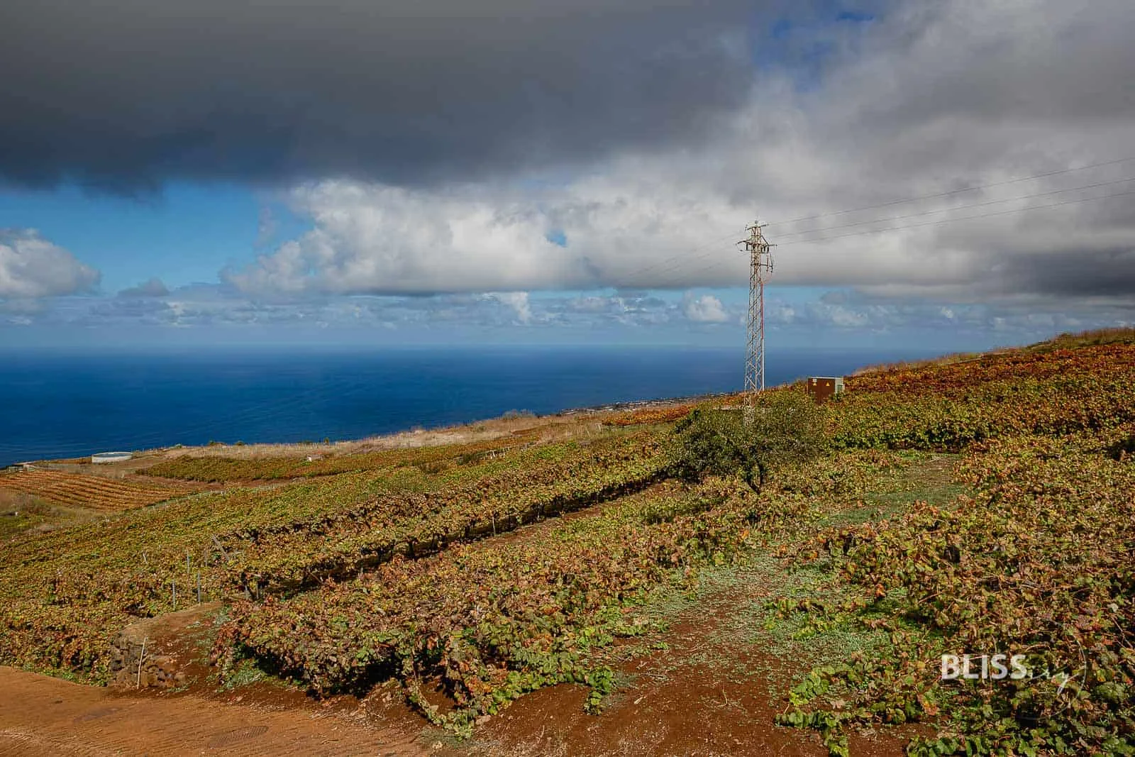 Sehenswürdigkeiten Teneriffa Inselrundfahrt - La Laguna, Weingut, Teide Vulkan - 24 Stunden auf den Kanaren