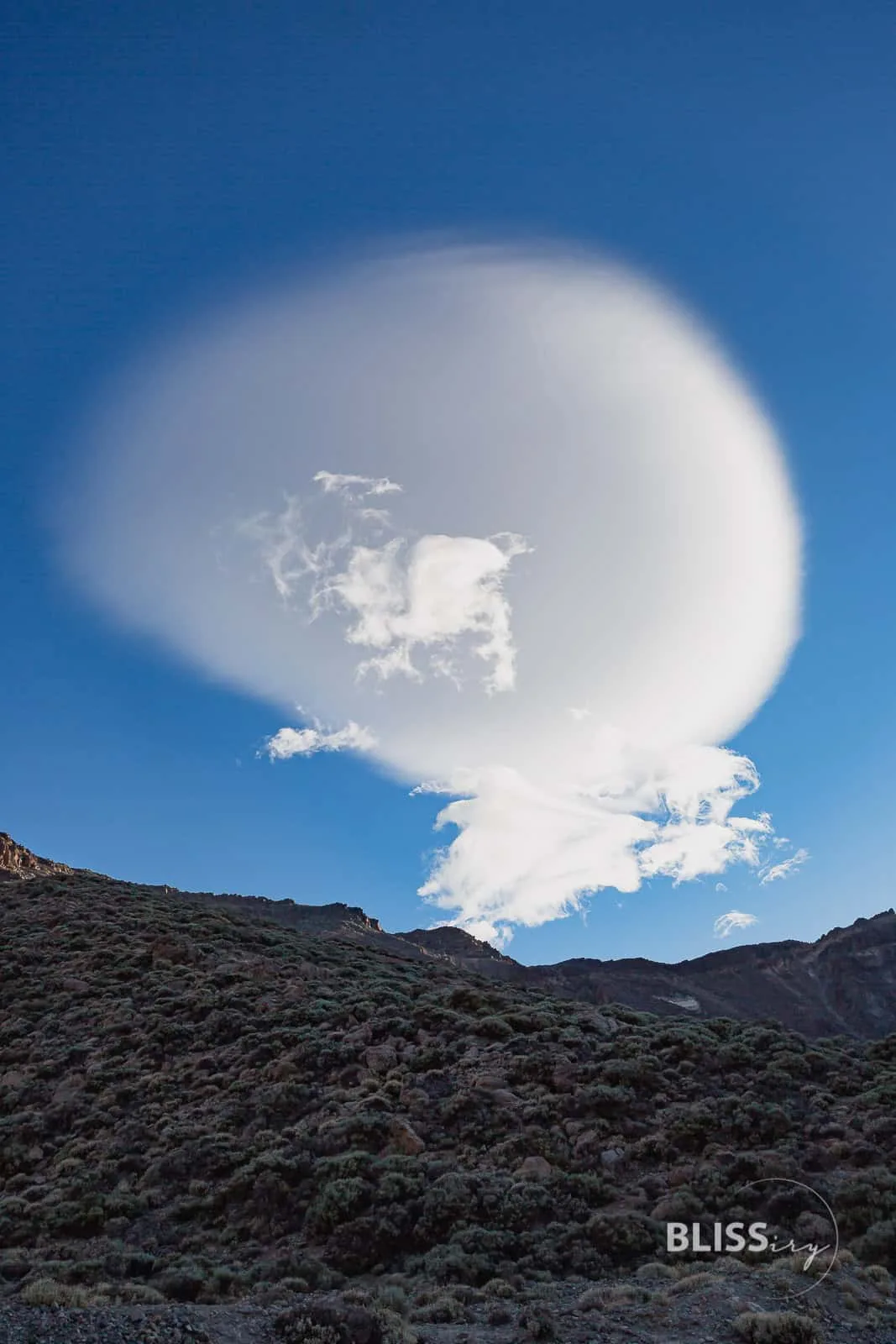 Sehenswürdigkeiten Teneriffa Inselrundfahrt - La Laguna, Weingut, Teide Vulkan - 24 Stunden auf den Kanaren