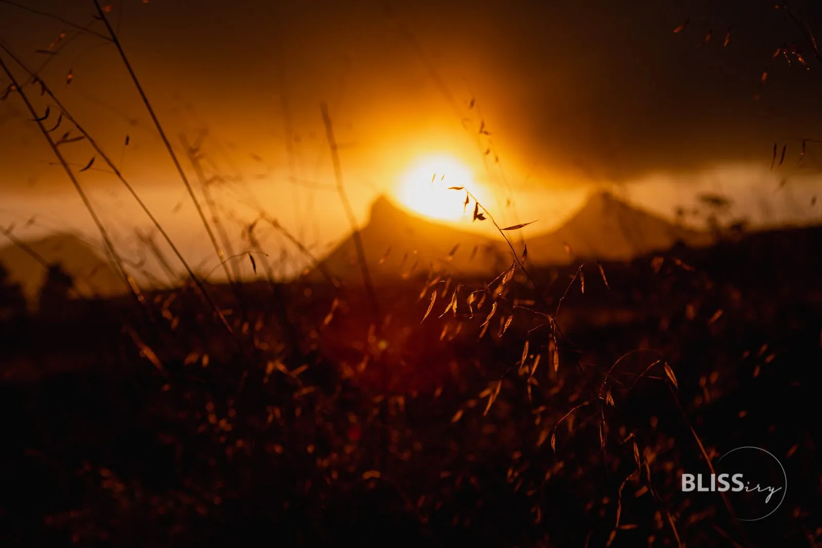 Sehenswürdigkeiten Teneriffa Inselrundfahrt - La Laguna, Weingut, Teide Vulkan - 24 Stunden auf den Kanaren