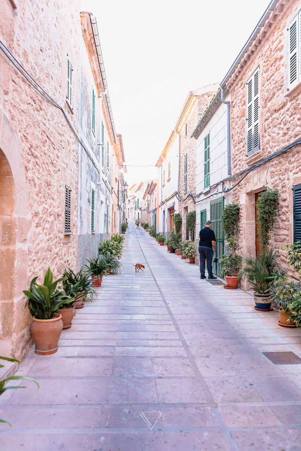 Alcudia Mallorca - historische Altstadt und modernes Leben - Alcudia Mallorca in Spanien - Touristen und Hotels am Mittelmeer, Fahrradstrecken, Golfplätze, schöne historische Altstadt, Hafen
