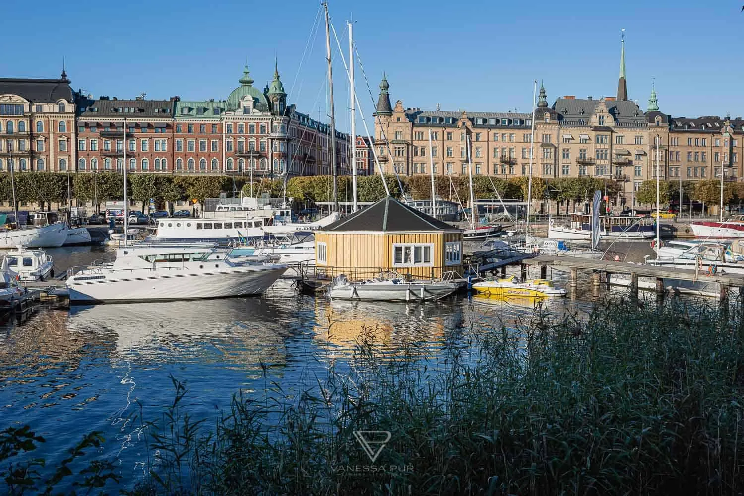 Stockholm sightseeing - 24 hours in Stockholm - Best Stockholm sightseeing 24 hours in Stockholm. Castle, Skansen Park, Vasa Museum, City Hall Stadshuset, Gamla Stan,