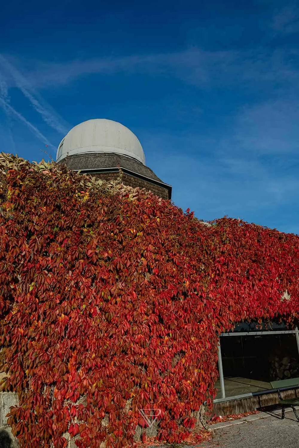 Stockholm sightseeing - 24 hours in Stockholm - Best Stockholm sightseeing 24 hours in Stockholm. Castle, Skansen Park, Vasa Museum, City Hall Stadshuset, Gamla Stan,